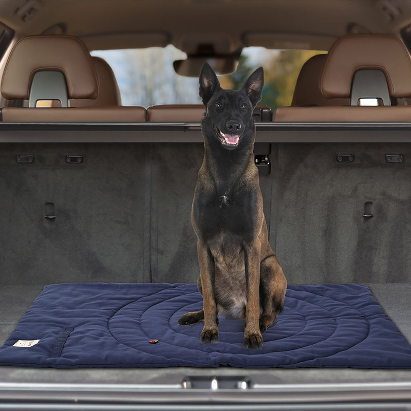 Portable Pet Mat Foldable Pet  - Camping Cot Foldable 评论和价格