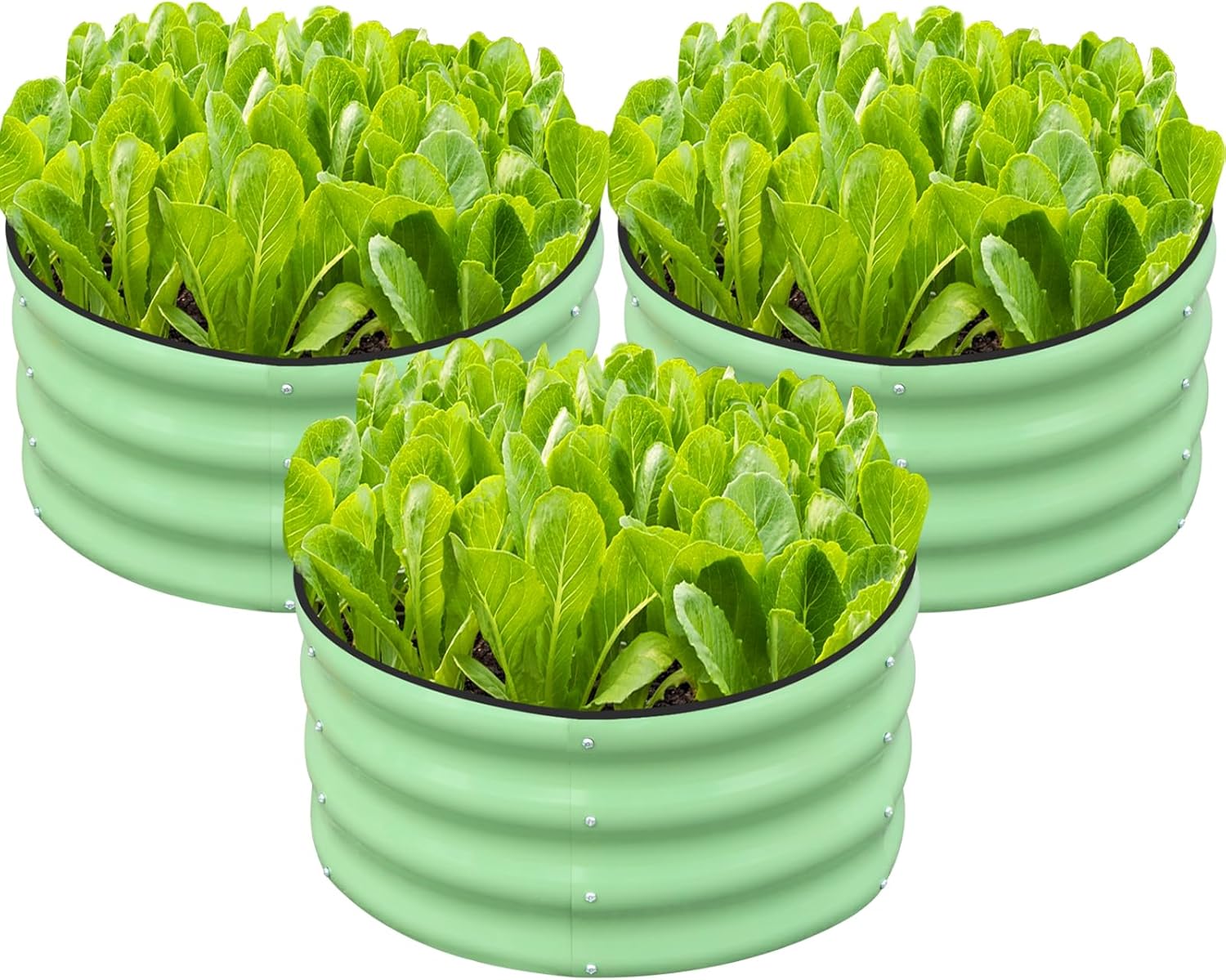 Raised Garden Bed & Planter Bo - Planter Raised Metal 评论和价格