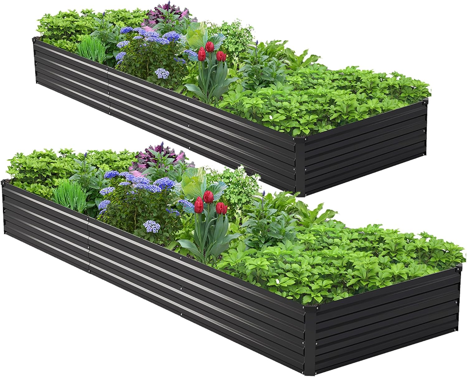 2PCS 10x3x1ft Galvanized Raise - Planter Raised Metal 评论和价格
