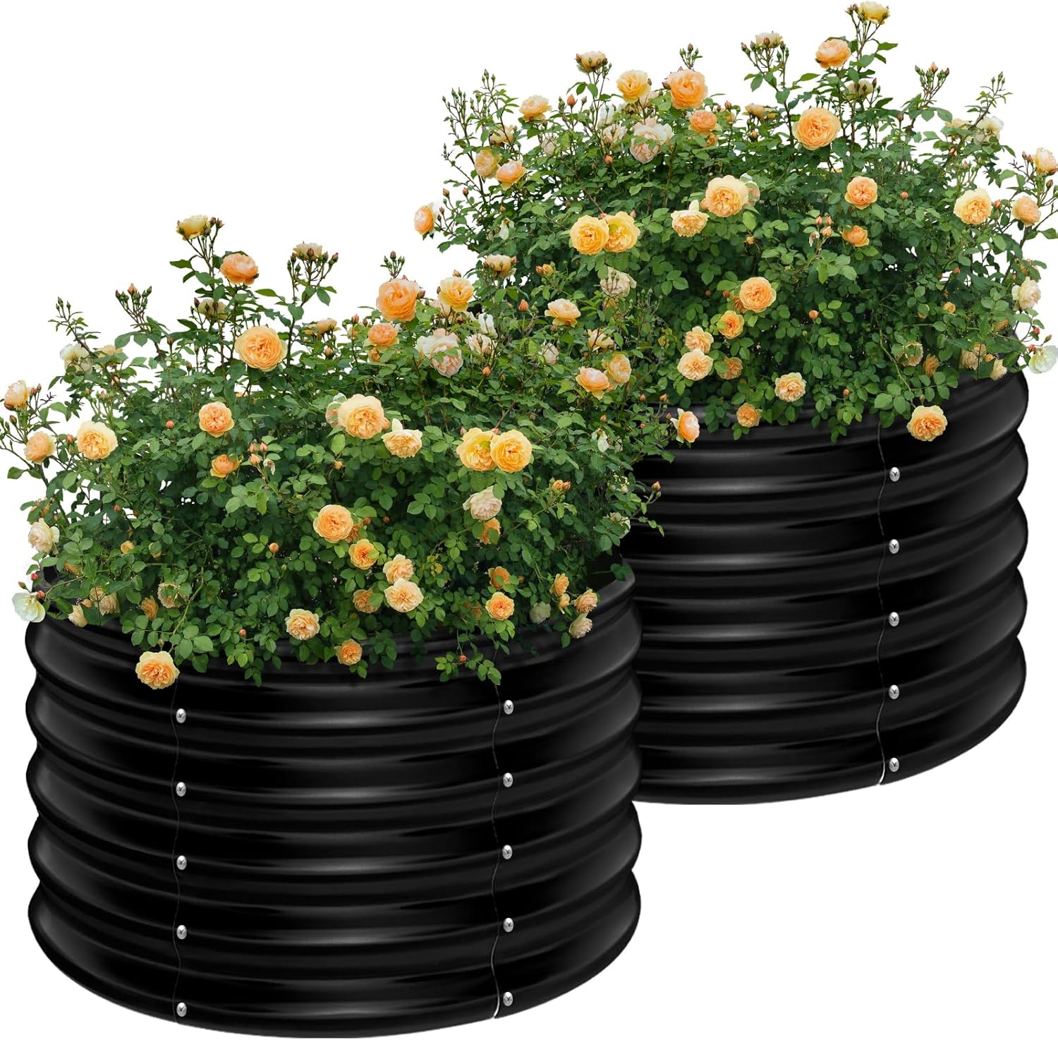 2 Pack 2x2x1.5ft Round Galvani - Planter Raised Metal 评论和价格