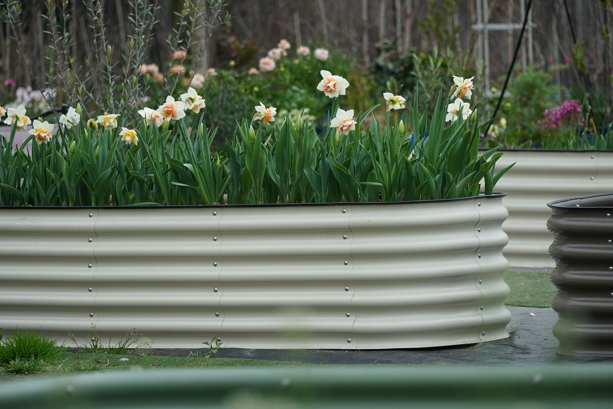 Large Galvanized Raised Garden - Planter Raised Metal 评论和价格
